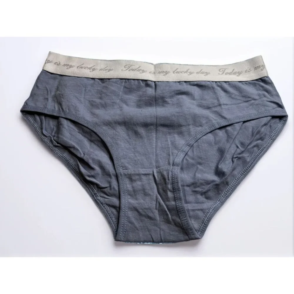New Bikini Brief Today is Your Lucky Day Small Panties Underwear NWOT Blue Grey